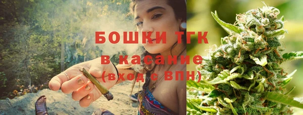 стафф Арсеньев