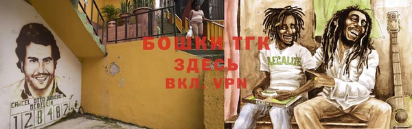 тгк Аркадак